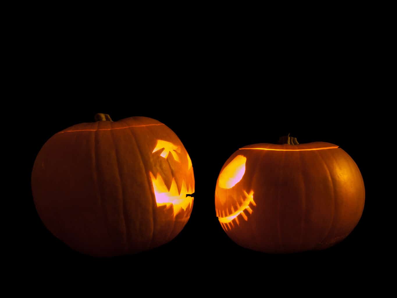Jack-o'-lanterns facing each other