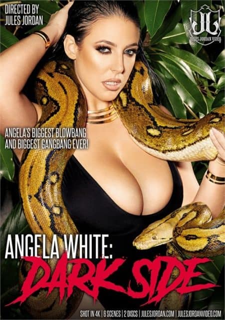 2020 AVN Awards winners XXXBios - Angela White Dark Side box cover starring Angela White porn pics sfw