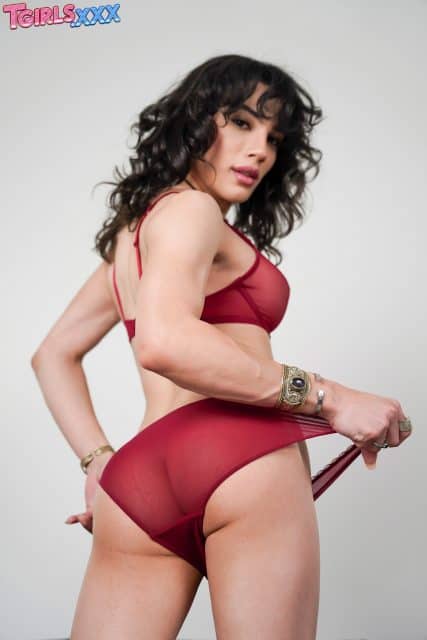 Ariel Demure XXXBios - Hottest brunette big booty Latina TS pornstar Ariel Demure in sexy sheer red lingerie - Tgirls.XXX Ariel Demure porn pics sfw