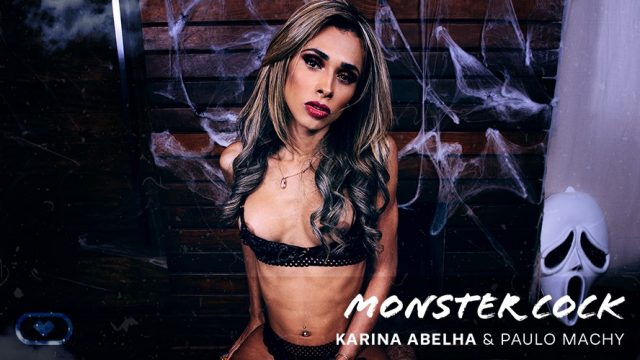 Karina Abelha XXXBios - Hottest petite busty blonde Brazilian TS pornstar Karina Abelha shows off her 32C big tits and big ass bubble butt booty in sexy black lacy lingerie stockings and suspenders - Monster Cock Virtual Real Trans Karina Abelha porn pics sfw - Karina Abelha VR porn scenes sfw pics
