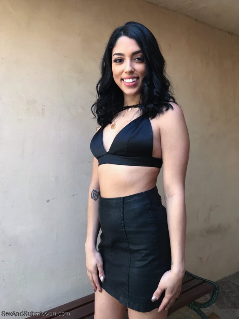 Top 20 Sex and Submission Pornstars XXXBios - Hottest Sex and Submission pornstar Vanessa Sky porn pics sfw